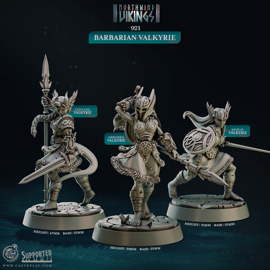 Barbarian Valkyrie (Set of 3)  | Northwind Vikings