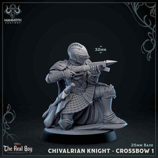 Chivalrian Knight - Crossbows (Set of 5) | Fateless : The Real Boy