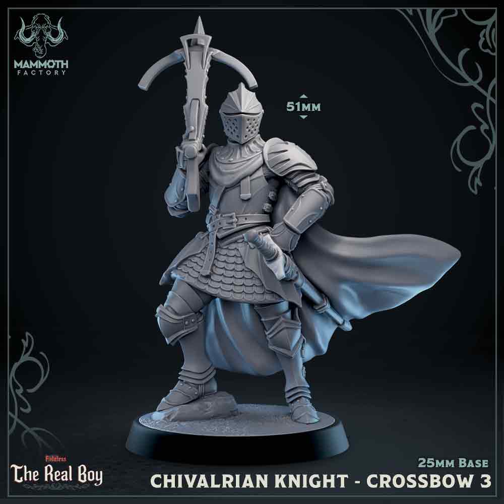 Chivalrian Knight - Crossbows (Set of 5) | Fateless : The Real Boy