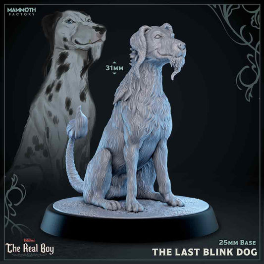 The Last Blink Dog | Fateless : The Real Boy