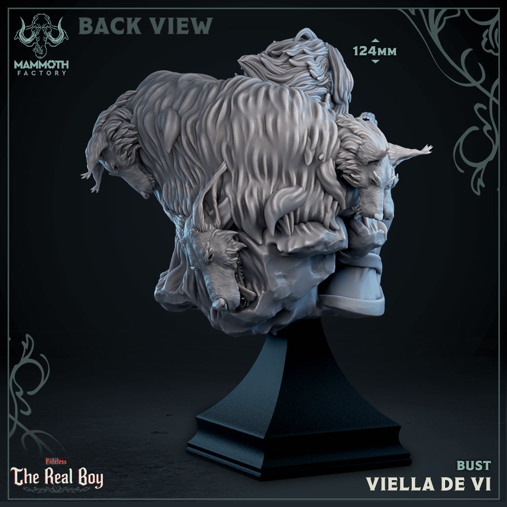 Viella De Vi | Bust | Fateless : The Real Boy